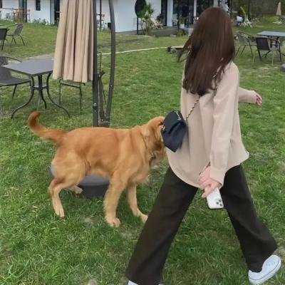 人吓鬼